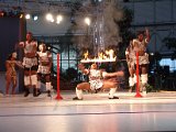 Limbo Show mit Feuer (105).JPG